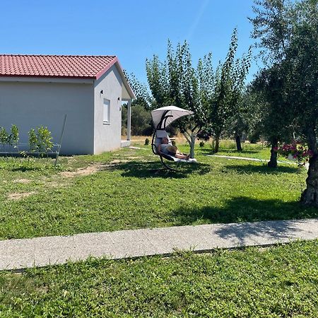 Ktima Mimoza Daire Sykia Dış mekan fotoğraf