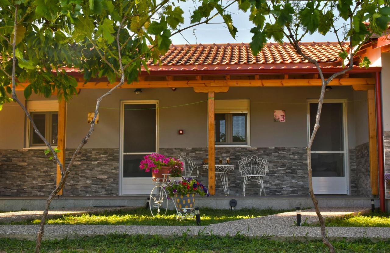 Ktima Mimoza Daire Sykia Dış mekan fotoğraf