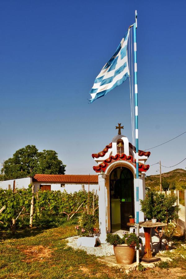 Ktima Mimoza Daire Sykia Dış mekan fotoğraf